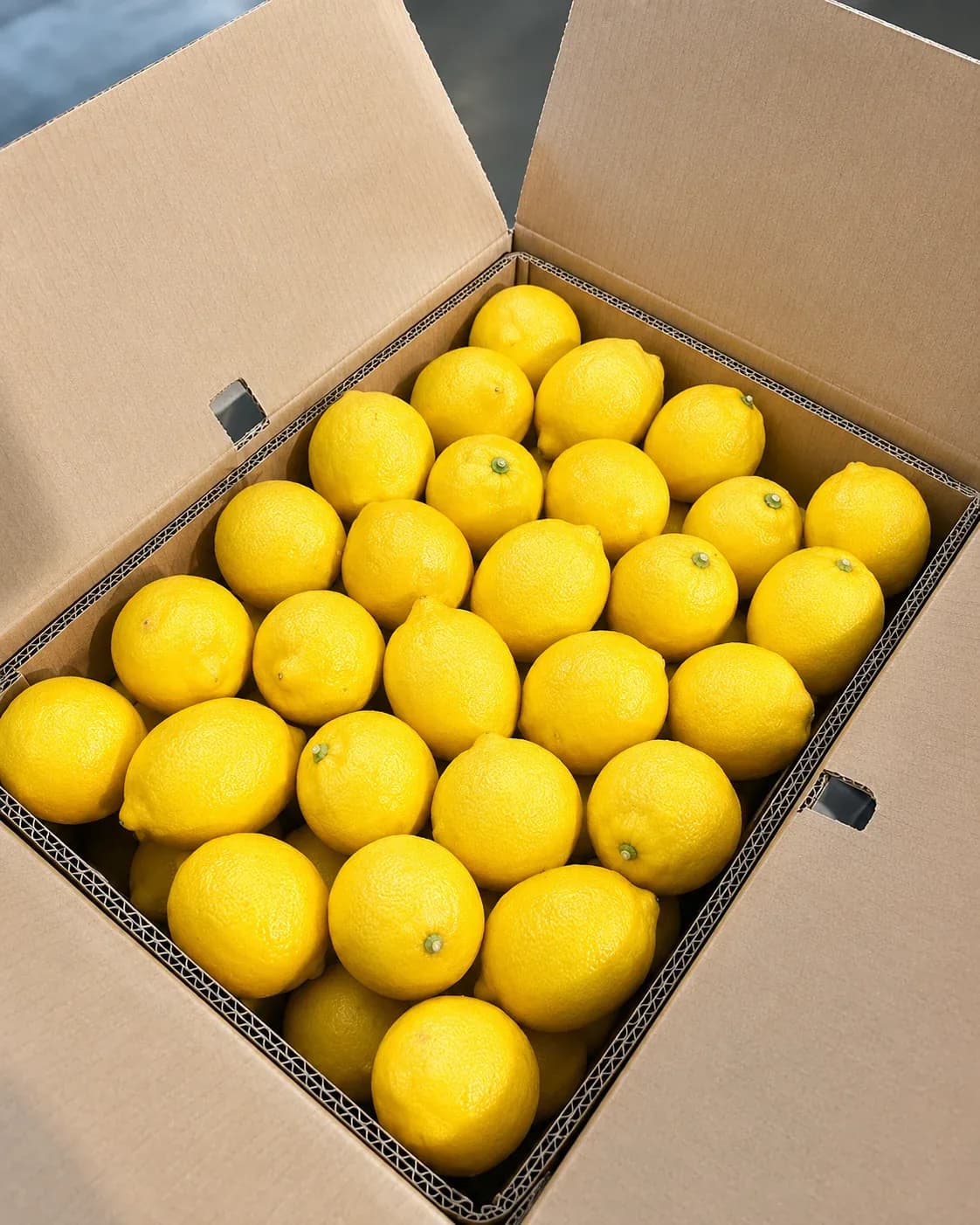 Lemons in export carton