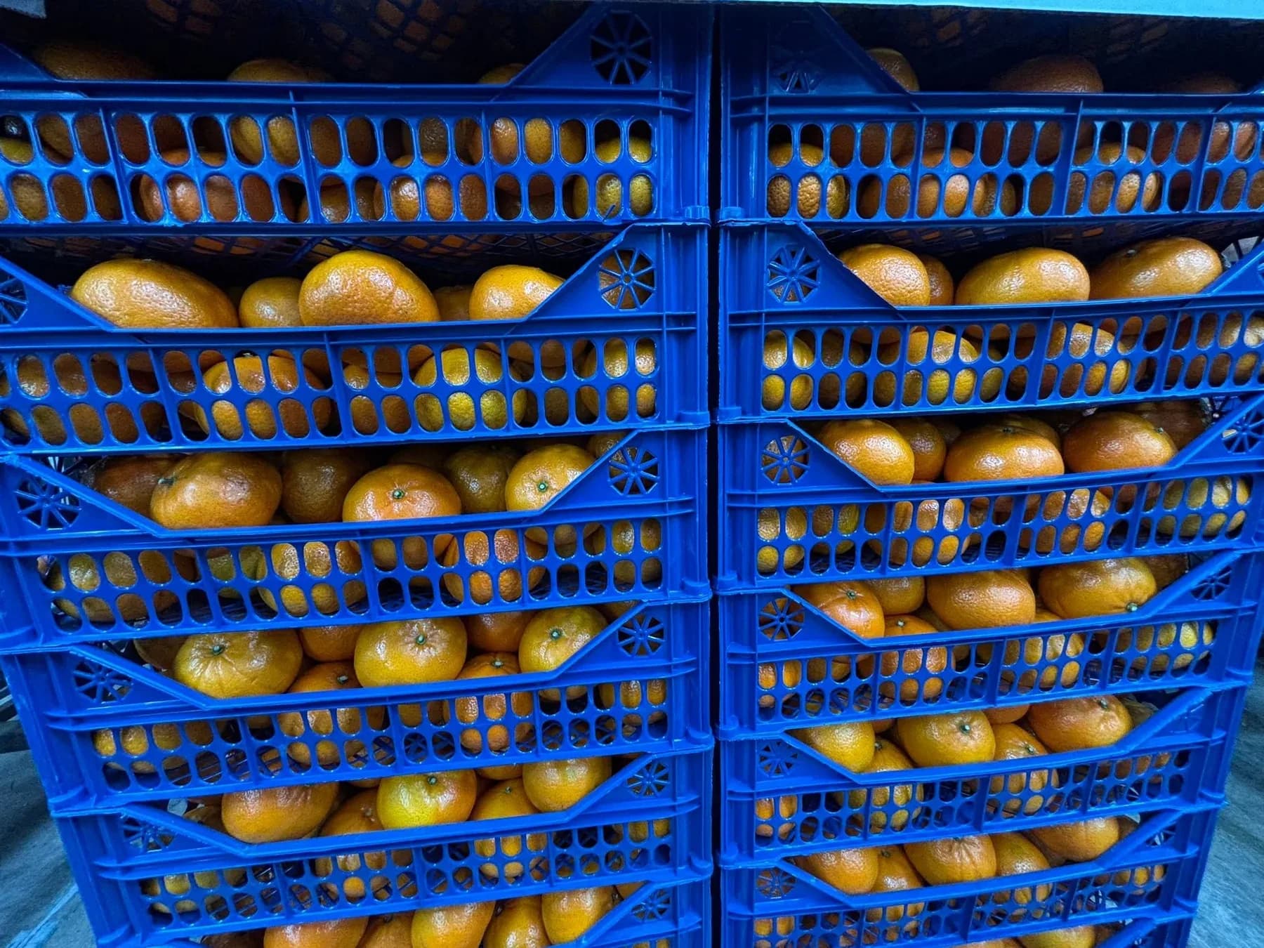 Stacked Murcott crates