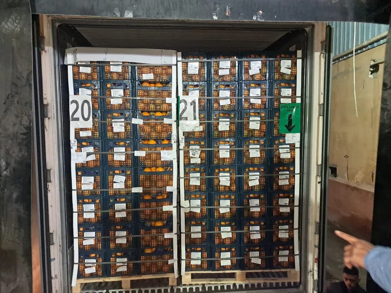 Fresh produce loading into a refrigerated container