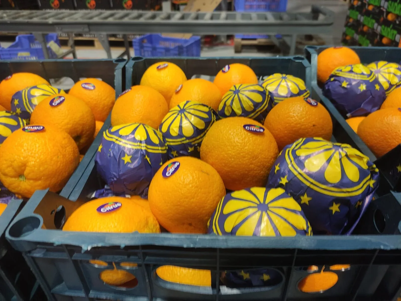 Wrapped orange presentation