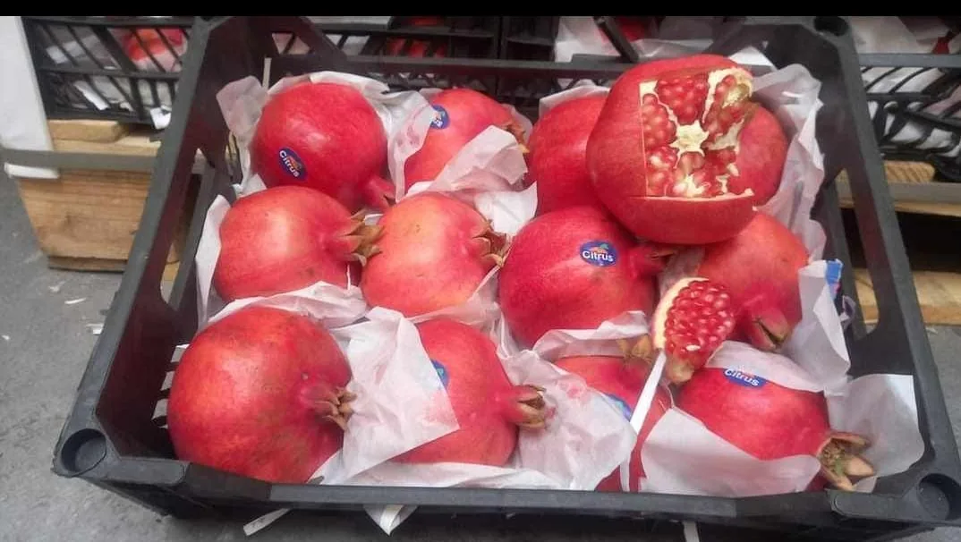 Pomegranate internal quality