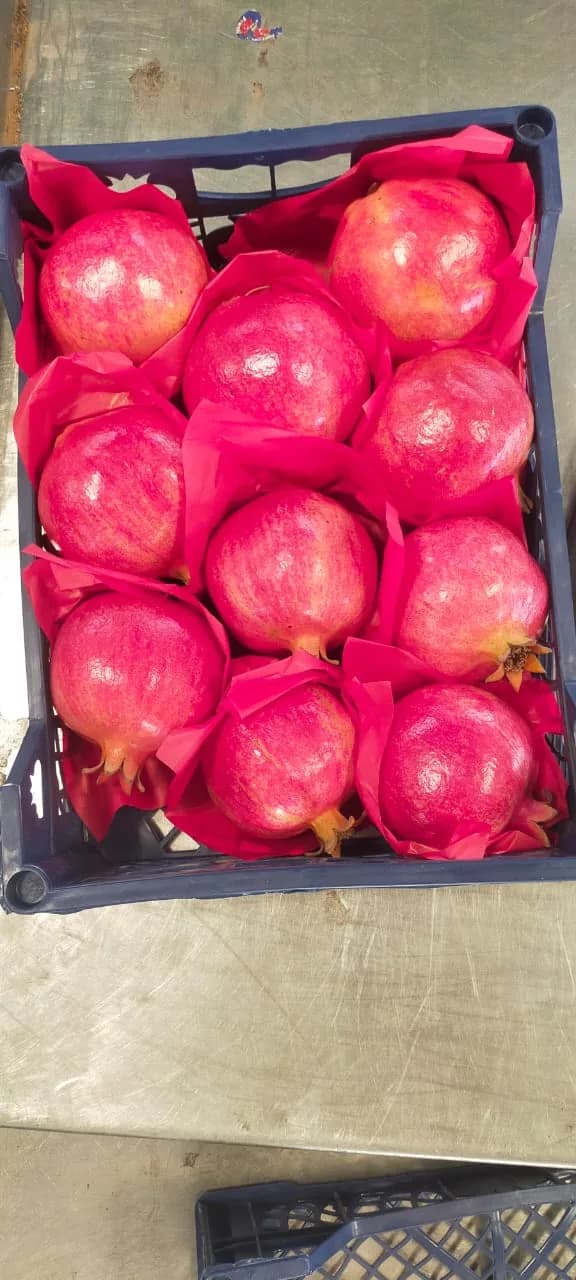 116 pomegranate presentation