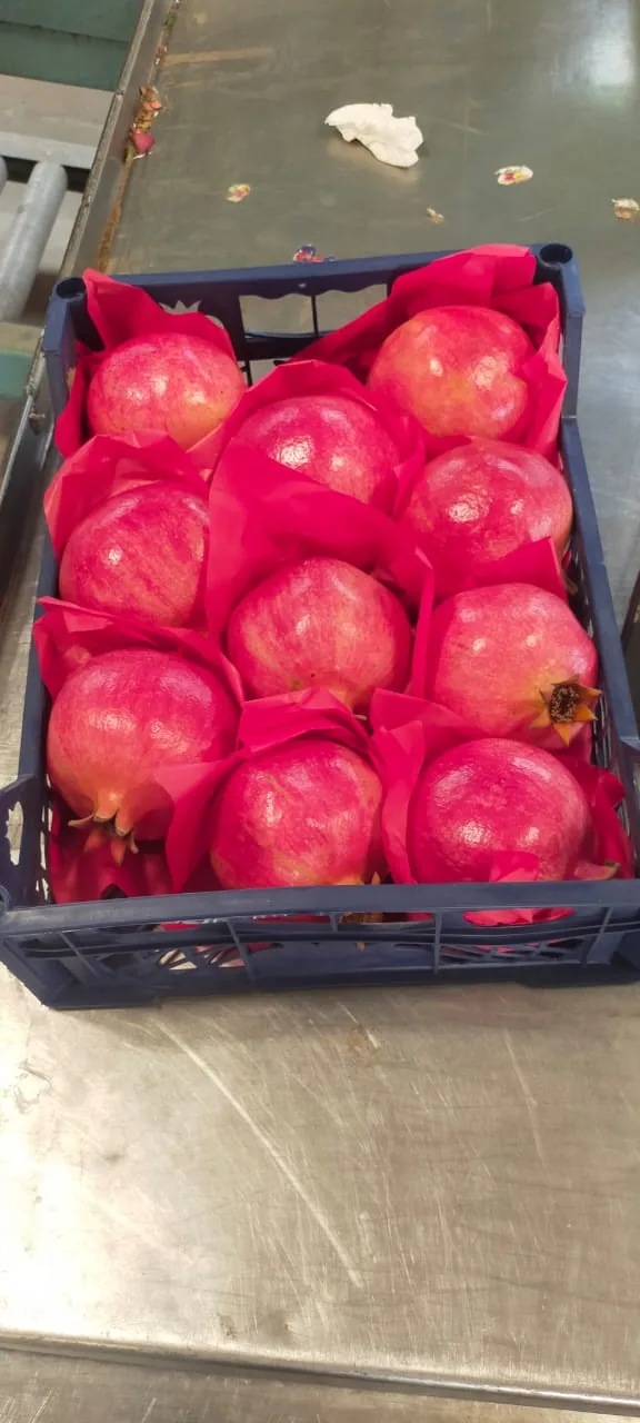 Wonder pomegranate presentation